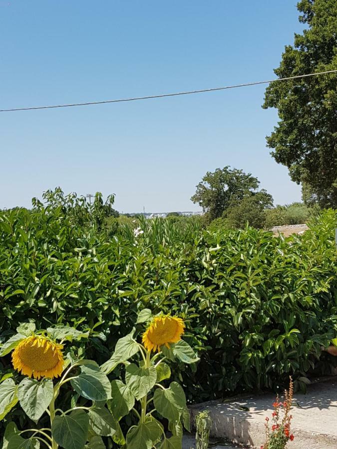Trulli Della Masseria Staffone Alberobello Exterior photo